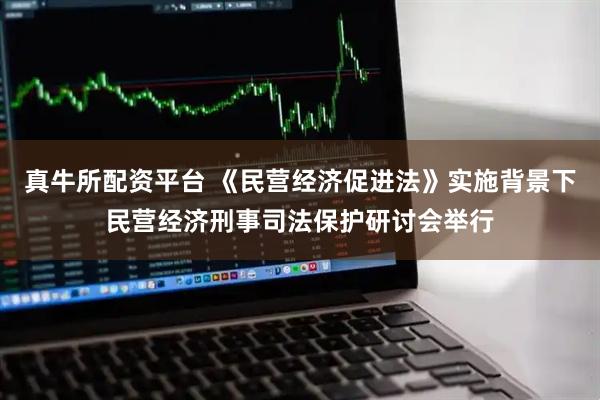 真牛所配资平台 《民营经济促进法》实施背景下民营经济刑事司法保护研讨会举行